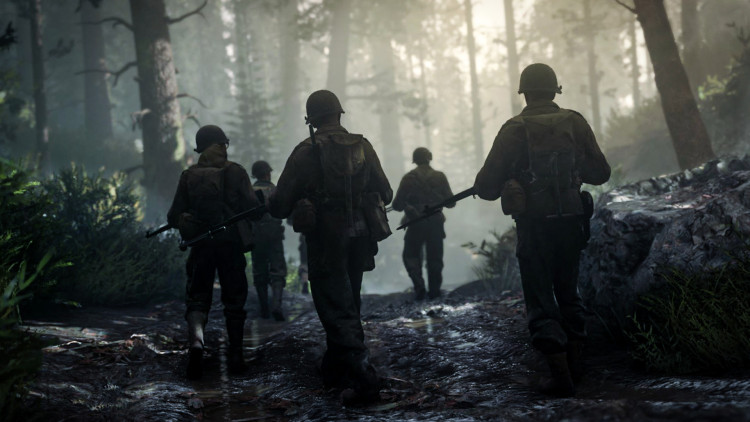 Call of Duty®: WWII, Steam Gift