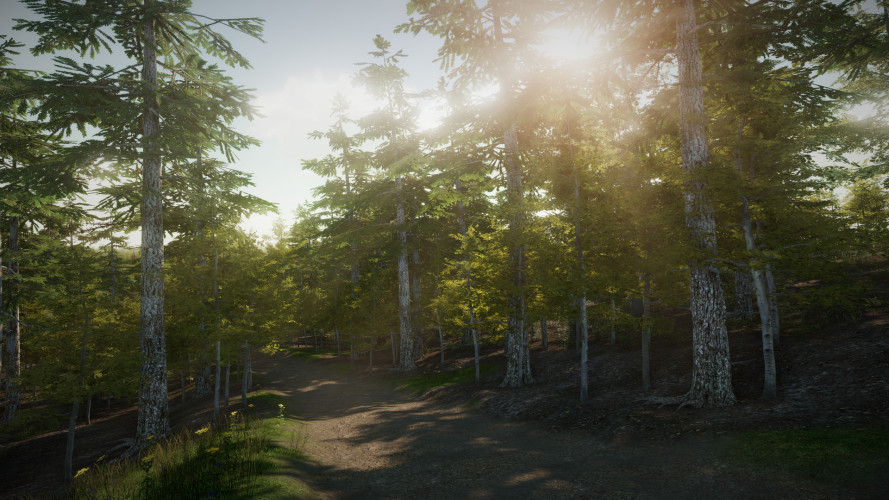 EreaDrone : FPV Drone Simulator, Steam Gift