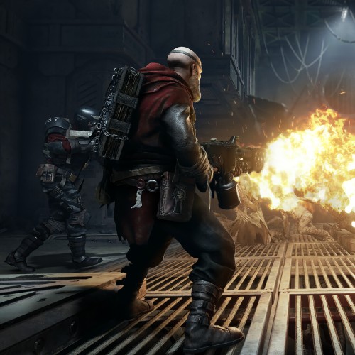 Игра Warhammer 40,000: Darktide Imperial Edition для PC / ПК, активация в стим Steam для региона РФ / Россия цифровой ключ