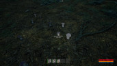 Online: 404, Steam Gift
