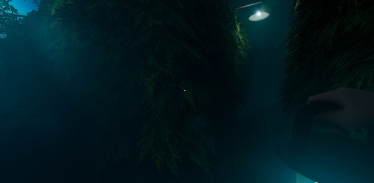 Labyrinthine, Steam Gift