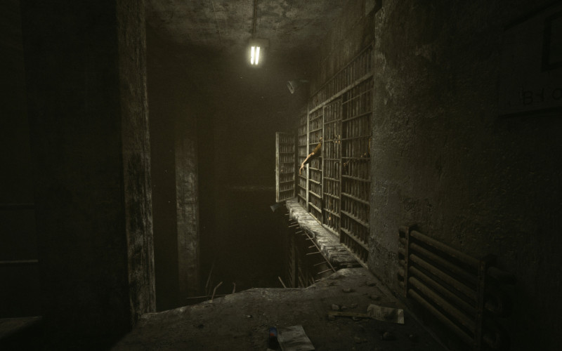 Outlast, Steam Gift