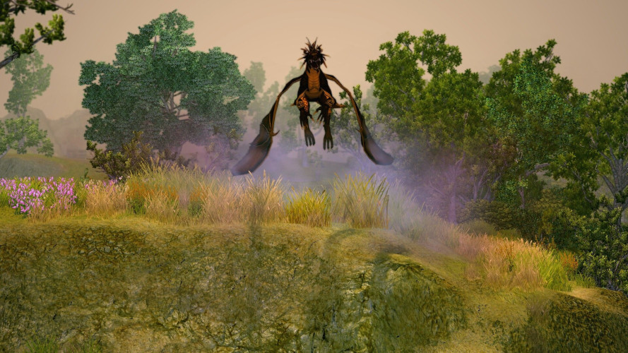 Sacred 2 Remaster, Steam Gift