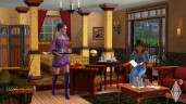 The Sims 3, Steam Gift