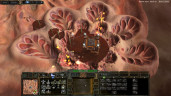 PERIMETER: Legate Edition, Steam Gift