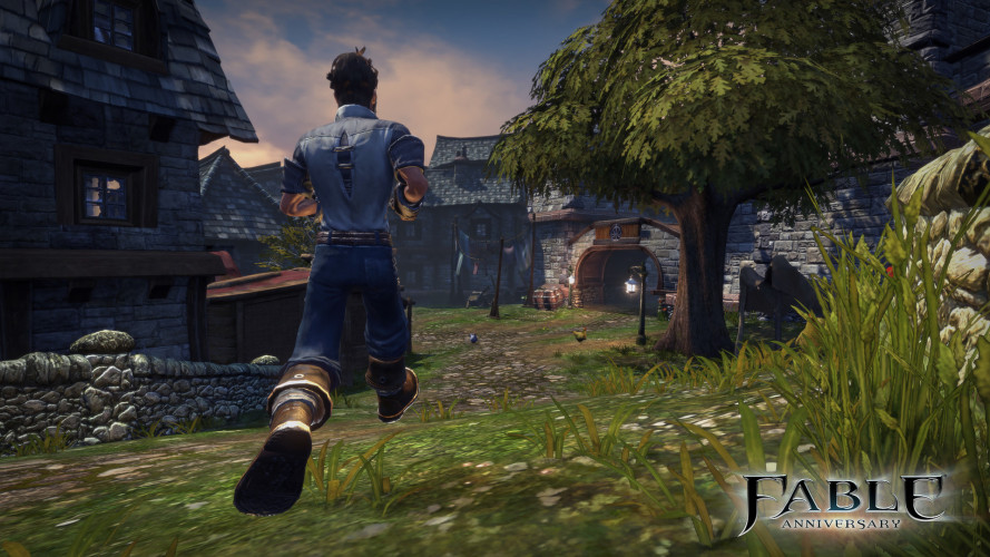 Fable Anniversary, Steam Gift