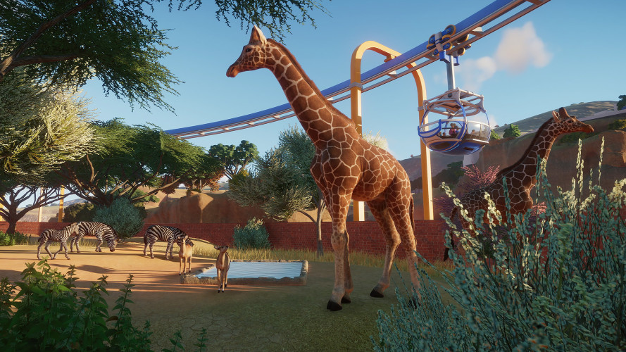 Planet Zoo, Steam Gift