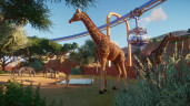 Planet Zoo, Steam Gift