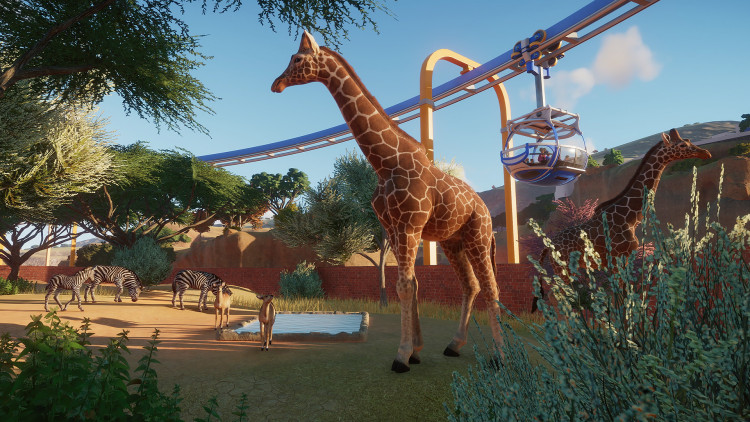 Planet Zoo, Steam Gift