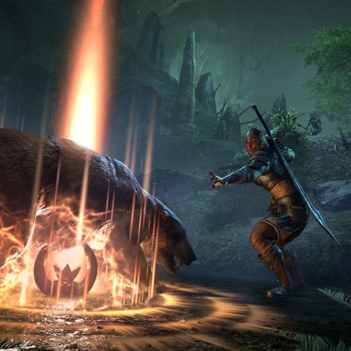 Игра The Elder Scrolls Online Collection: Gold Road для PC / ПК, активация в стим Steam для региона РФ / Россия цифровой ключ