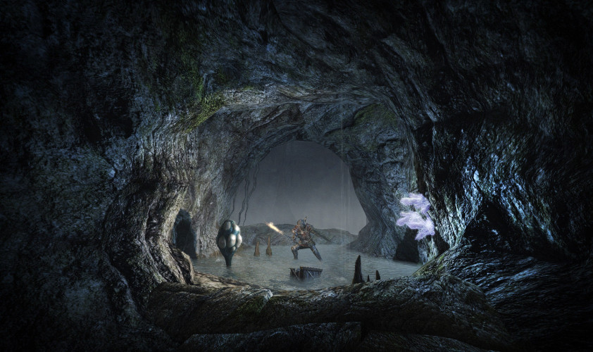 ArcaniA: Fall of Setarrif, Steam Gift