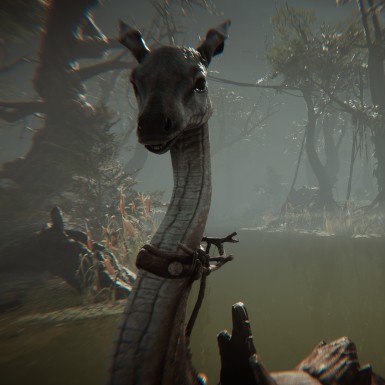 Игра Amerzone - The Explorer's Legacy PlayStation 5