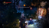 The Witcher 2: Assassins of Kings Enhanced Edition, Steam Gift