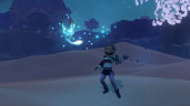 Wildmender, Steam Gift