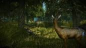 The Witcher 2: Assassins of Kings Enhanced Edition - (RU), Steam Gift