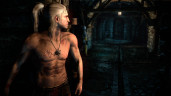The Witcher 2: Assassins of Kings Enhanced Edition - (RU), Steam Gift