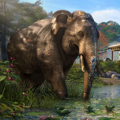 Far Cry 4 Gold Edition