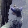 Игра The Last Guardian PlayStation 4 и PlayStation 5