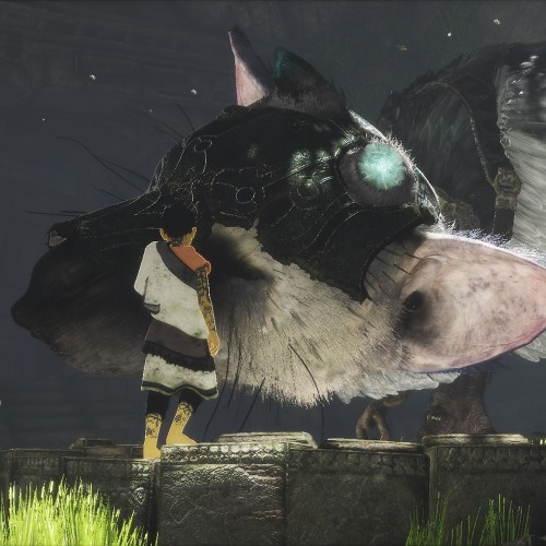 Игра The Last Guardian PlayStation 4 и PlayStation 5