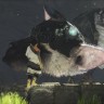 Игра The Last Guardian PlayStation 4 и PlayStation 5