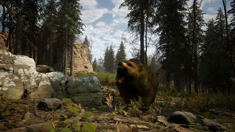 Outbreak Island, Steam Gift