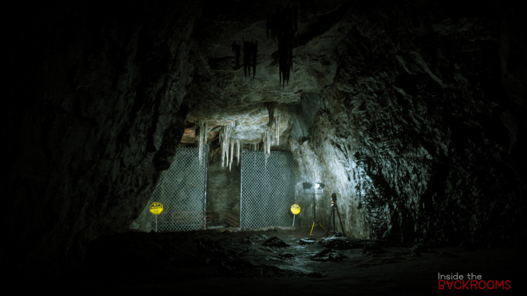 Inside the Backrooms, Steam Gift