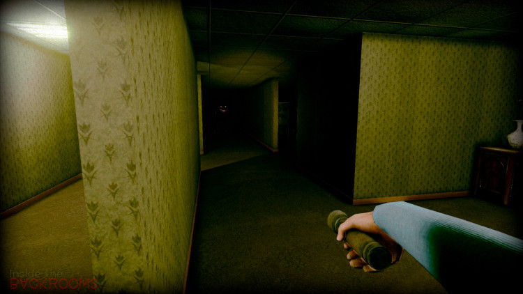 Inside the Backrooms, Steam Gift