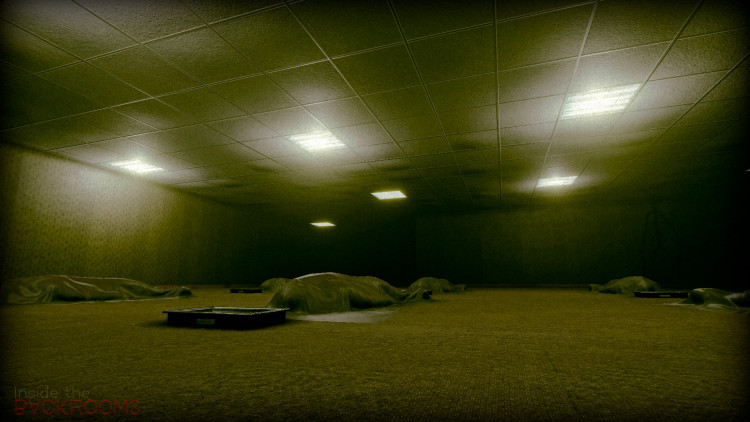 Inside the Backrooms, Steam Gift