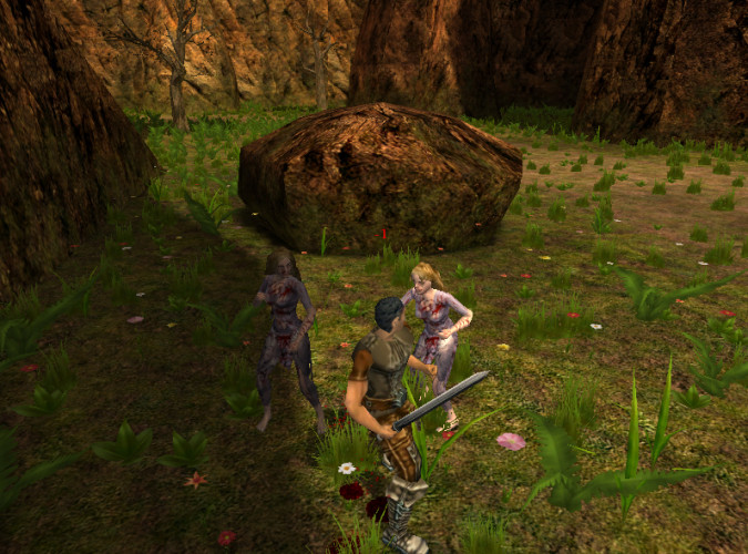 BorderZone, Steam Gift