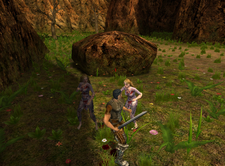 BorderZone, Steam Gift