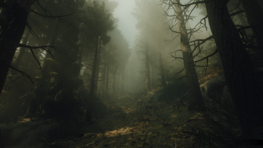 The Occultist - Deluxe Edition, Steam Gift