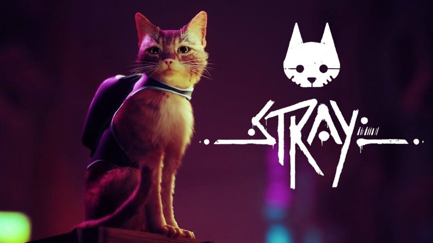 Игра Stray PlayStation 4 и PlayStation 5