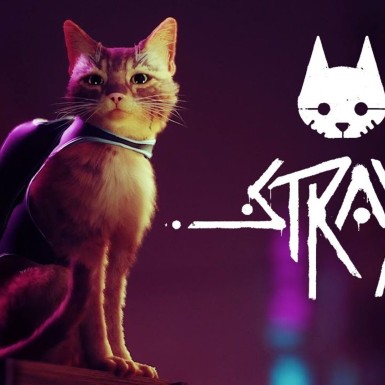 Игра Stray PlayStation 4 и PlayStation 5