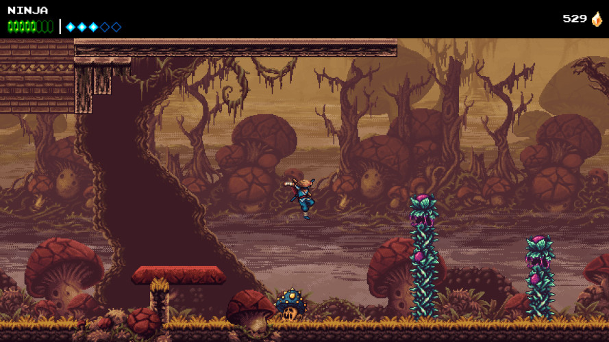 The Messenger, Steam Gift