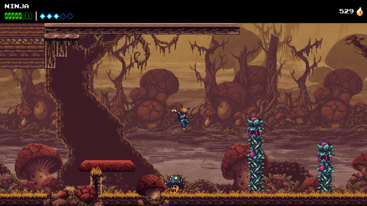 The Messenger, Steam Gift