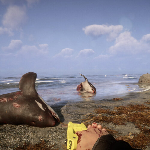 Игра Sons Of The Forest PC, Steam Gift регион Россия, РФ