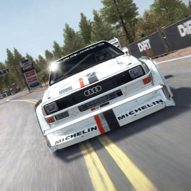 Игра DiRT Rally для PC / ПК, активация в стим Steam для региона РФ / Россия цифровой ключ