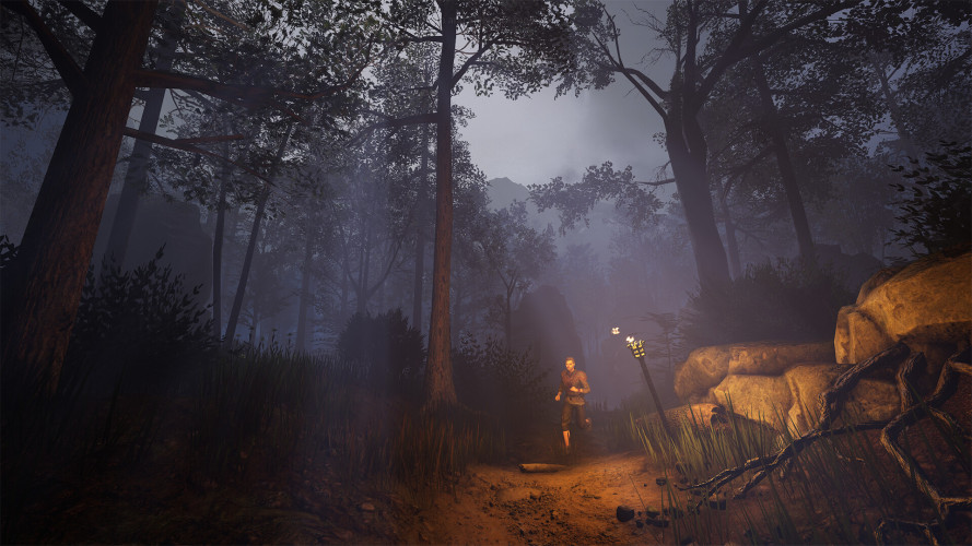 Of Ash and Steel, Steam Gift