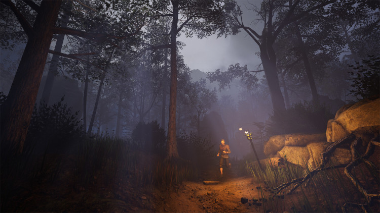 Of Ash and Steel, Steam Gift