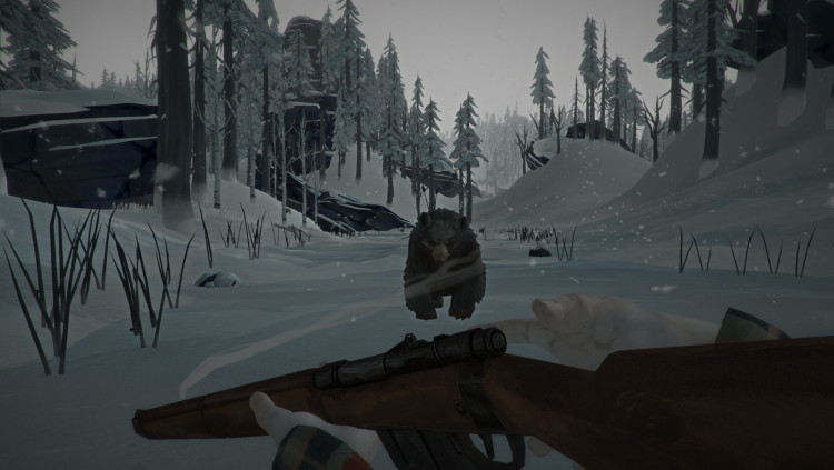 The Long Dark, Steam Gift