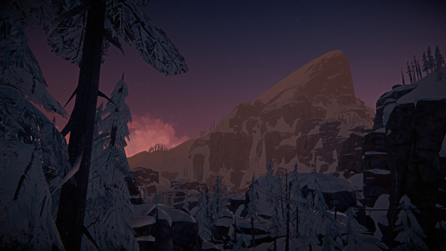 The Long Dark, Steam Gift