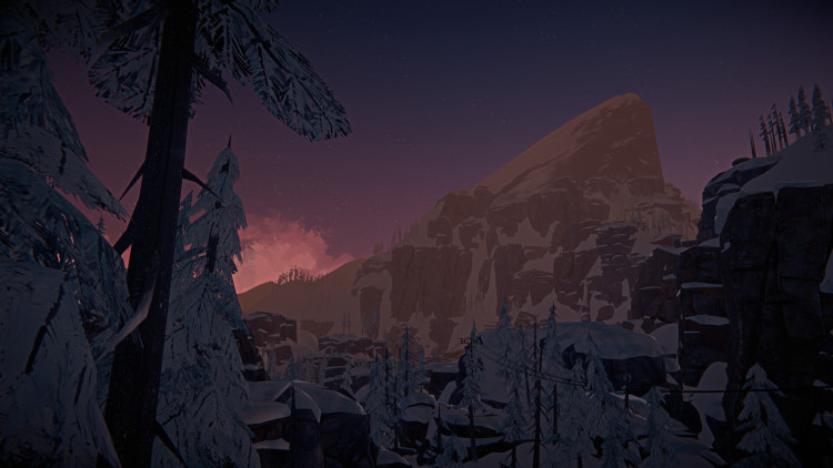 The Long Dark, Steam Gift
