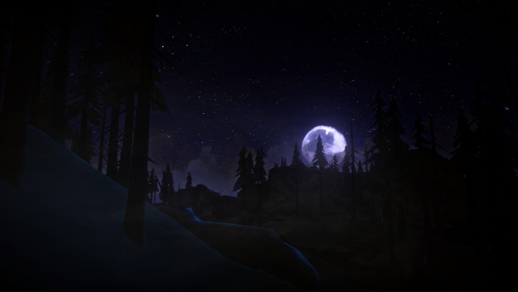 The Long Dark, Steam Gift