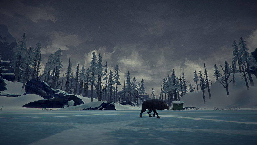 The Long Dark, Steam Gift