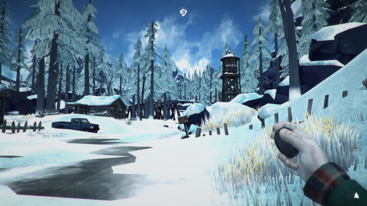 The Long Dark, Steam Gift