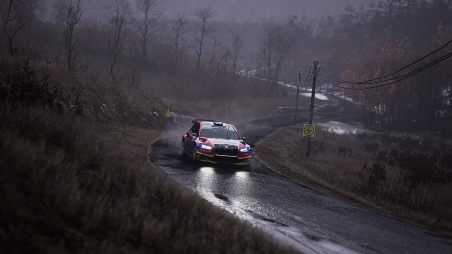 Assetto Corsa Rally, Steam Gift