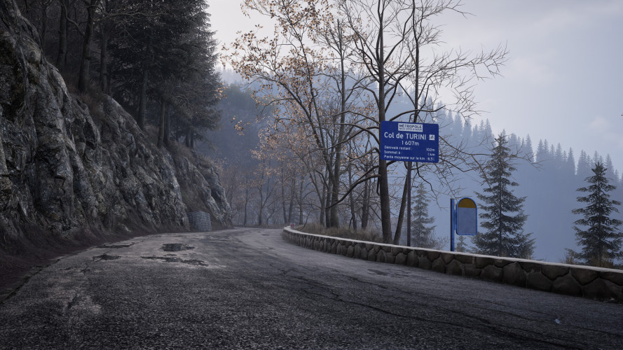 Assetto Corsa Rally, Steam Gift