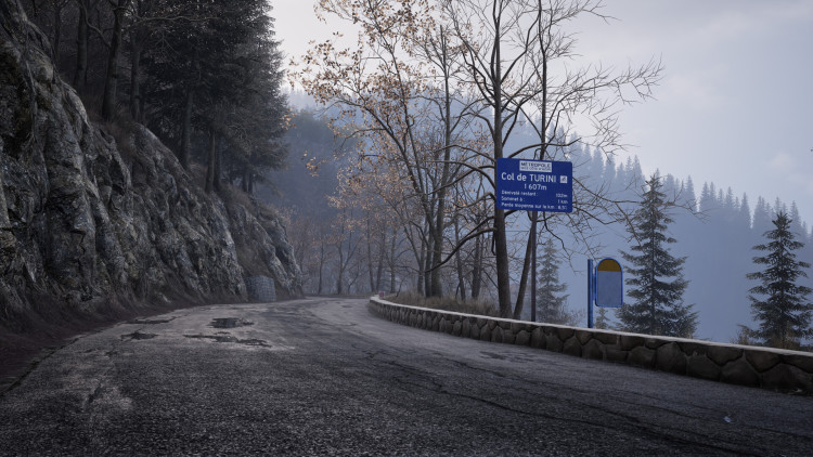 Assetto Corsa Rally, Steam Gift