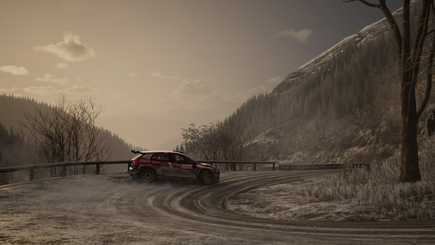 Assetto Corsa Rally, Steam Gift