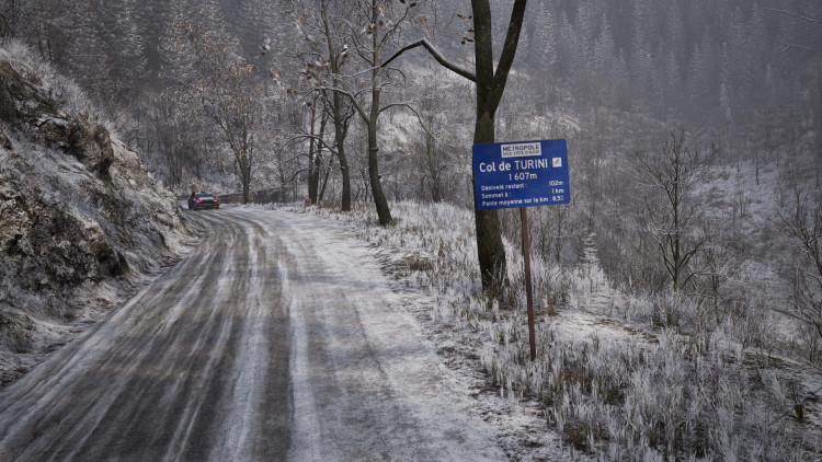 Assetto Corsa Rally, Steam Gift